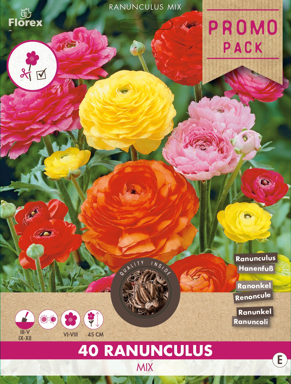 Ranunculus Mischung (40 Stück) | Hahnenfußrhizome von Florex 97863-fx