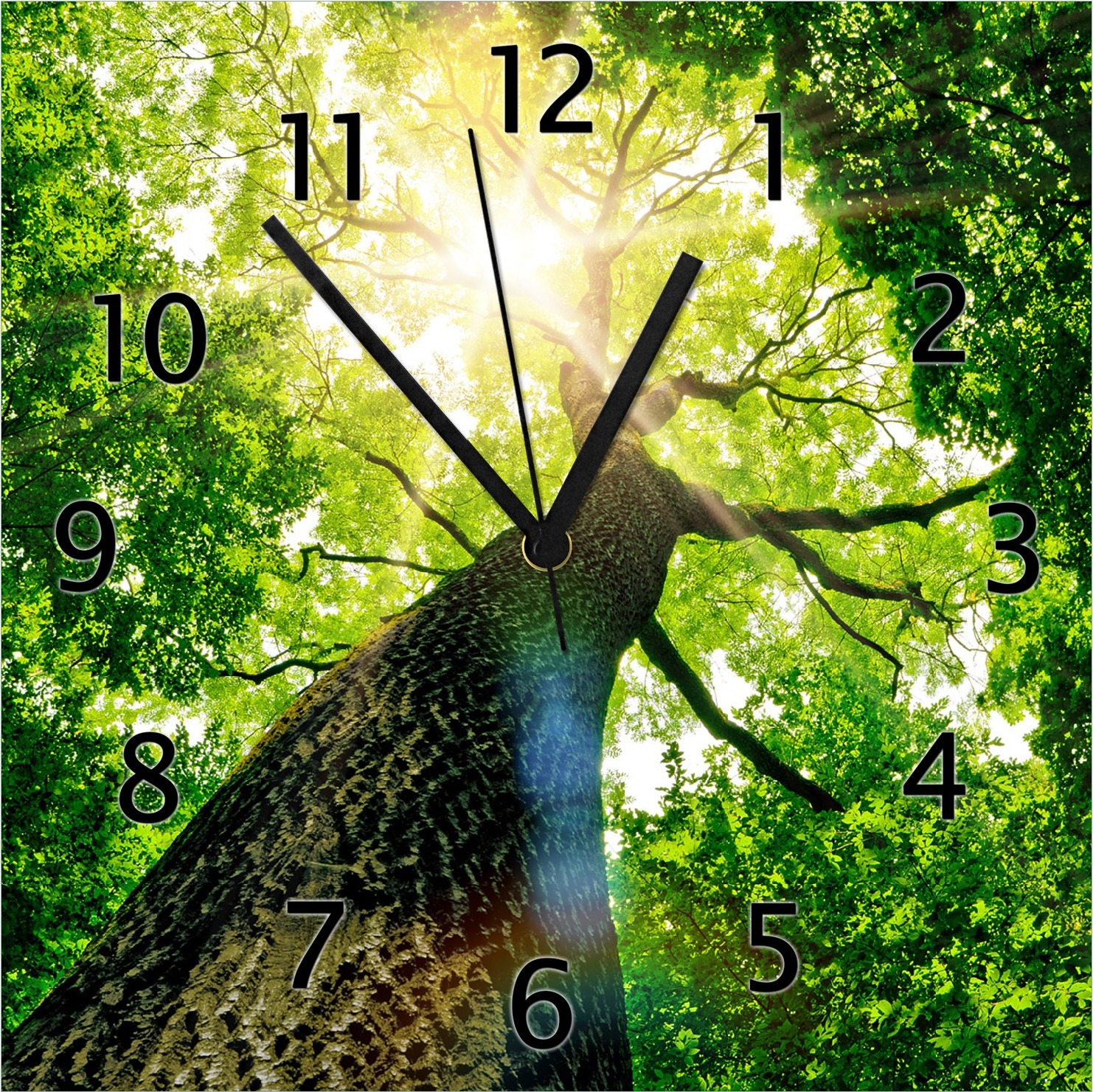 Wallario Design Wanduhr Laubbaum aus der Froschperspektive aus Echtglas, Größe 30 x 30 cm gugs0259-3030