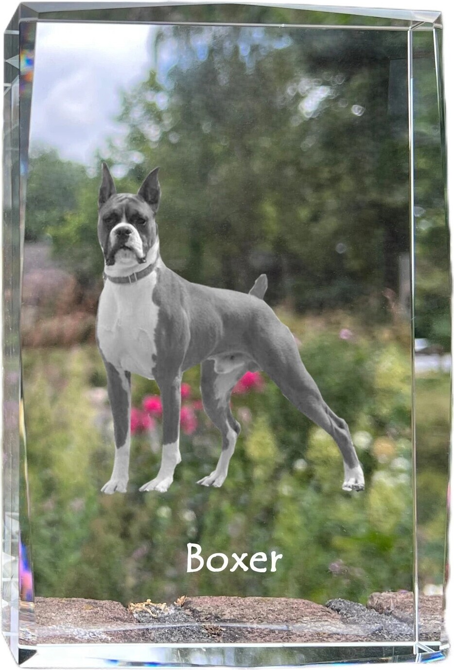 Boxer, Deutscher Boxer I - Kristall mit einem Hundebild, Bild im Glas, moderne Ausstellung des Art-Dog-Bildes.