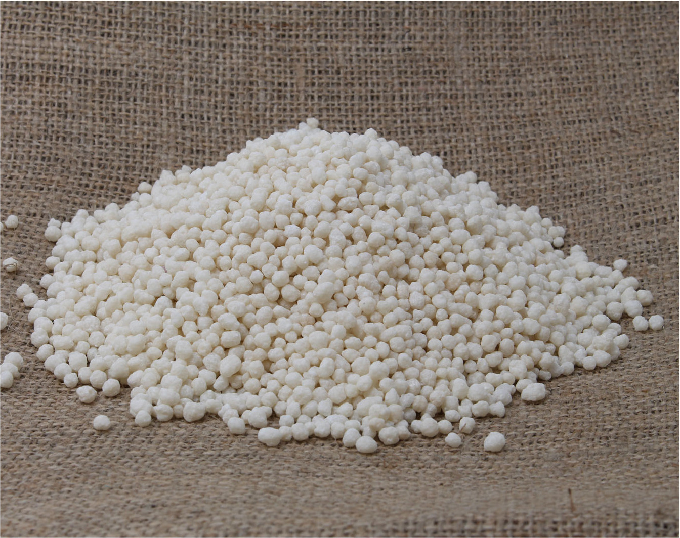 LanDixx Ammonsulfatsalpeter ASS 26 (+13) 10 kg Stickstoffdünger mit Schwefel Obstdünger