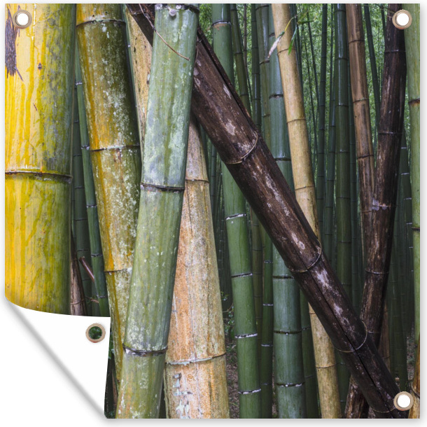 MuchoWow® 50x50 cm Outdoor-Poster Gartendeko Sichtschutz Garten Poster für den Garten Viele Bambusarten im Arashiyama-Bambuswald in Japan 133|508860160