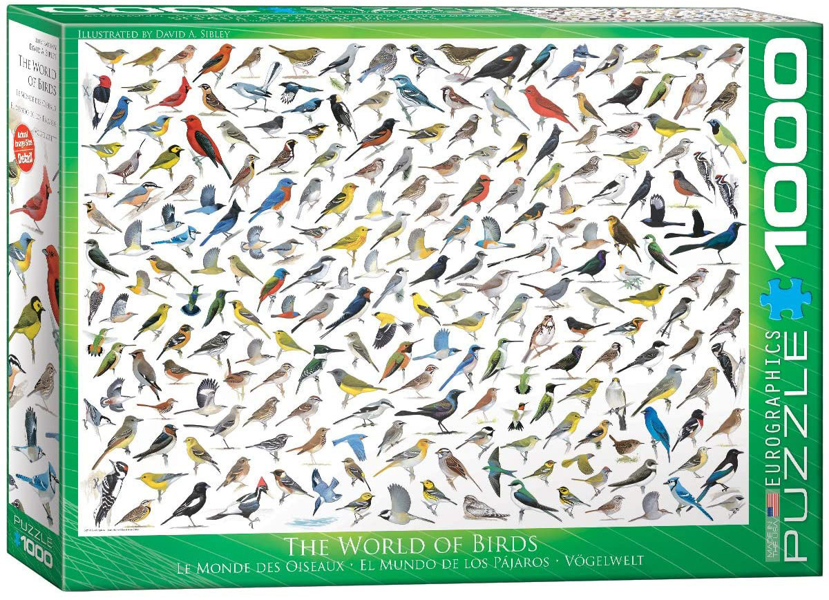 Empireposter 1000 Teile Puzzle Die Welt der Vögel 858740