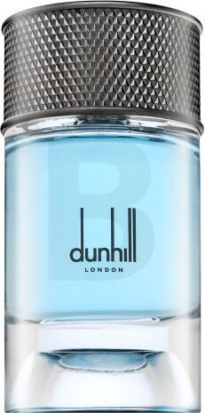 Dunhill Signature Collection Nordic Fougere parfémovaná voda pre mužov 100 ml