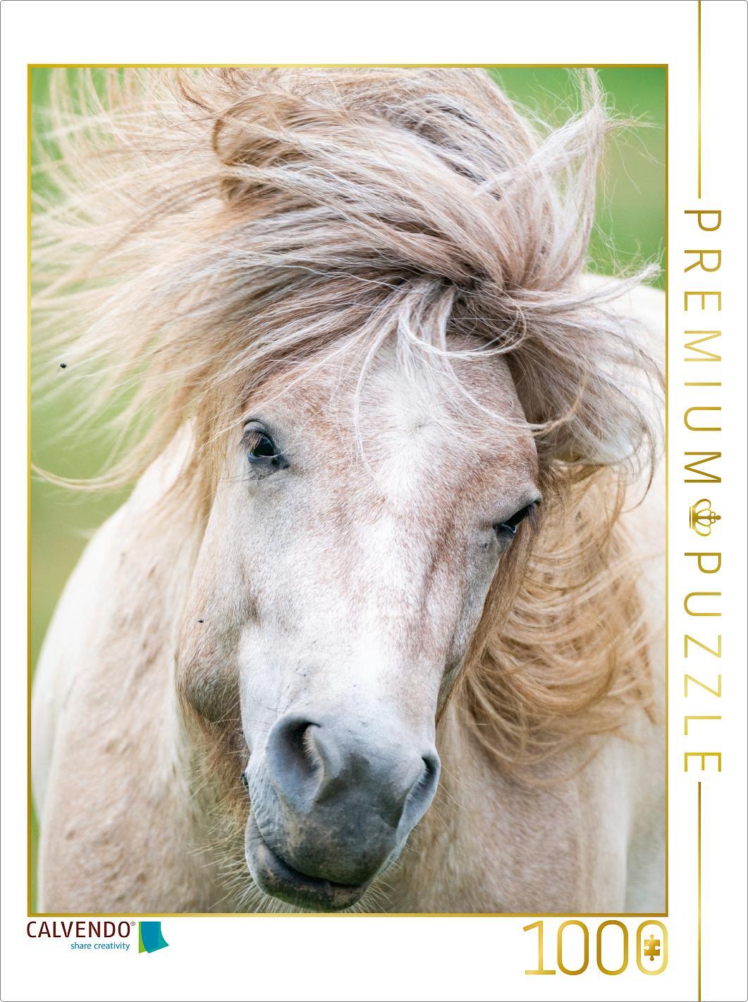 CALVENDO Puzzle Sturmfrisur | 1000 Teile Lege-Größe 64x48cm Foto-Puzzle für glückliche Stunden