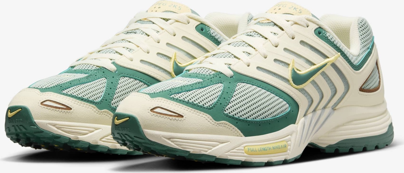 Nike Air Pegasus 2005 