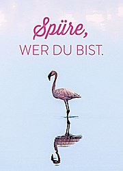 HGV Hanseatische Gesellschaft für Verlagsservice Groh Magnet mit witzigem SpruchSpÜre, wer Du bist. groh-4616
