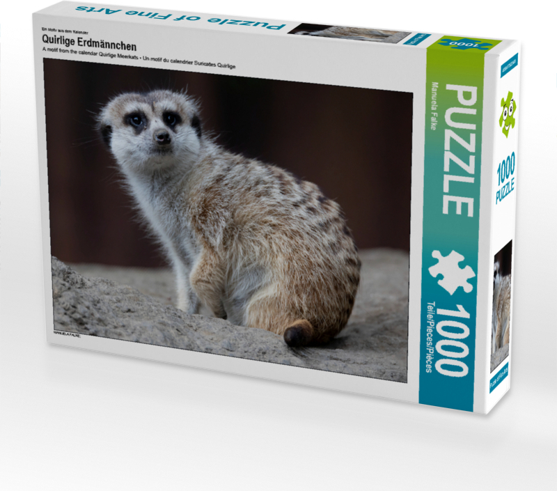 CALVENDO Puzzle Ein Motiv aus dem Kalender Quirlige Erdmännchen | 1000 Teile Lege-Größe 64x48cm Foto-Puzzle für glückliche Stunden