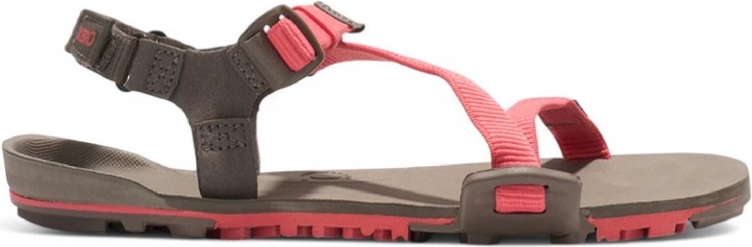 Schuhe Xero Shoes Z-trail Ev TTWSCMRW