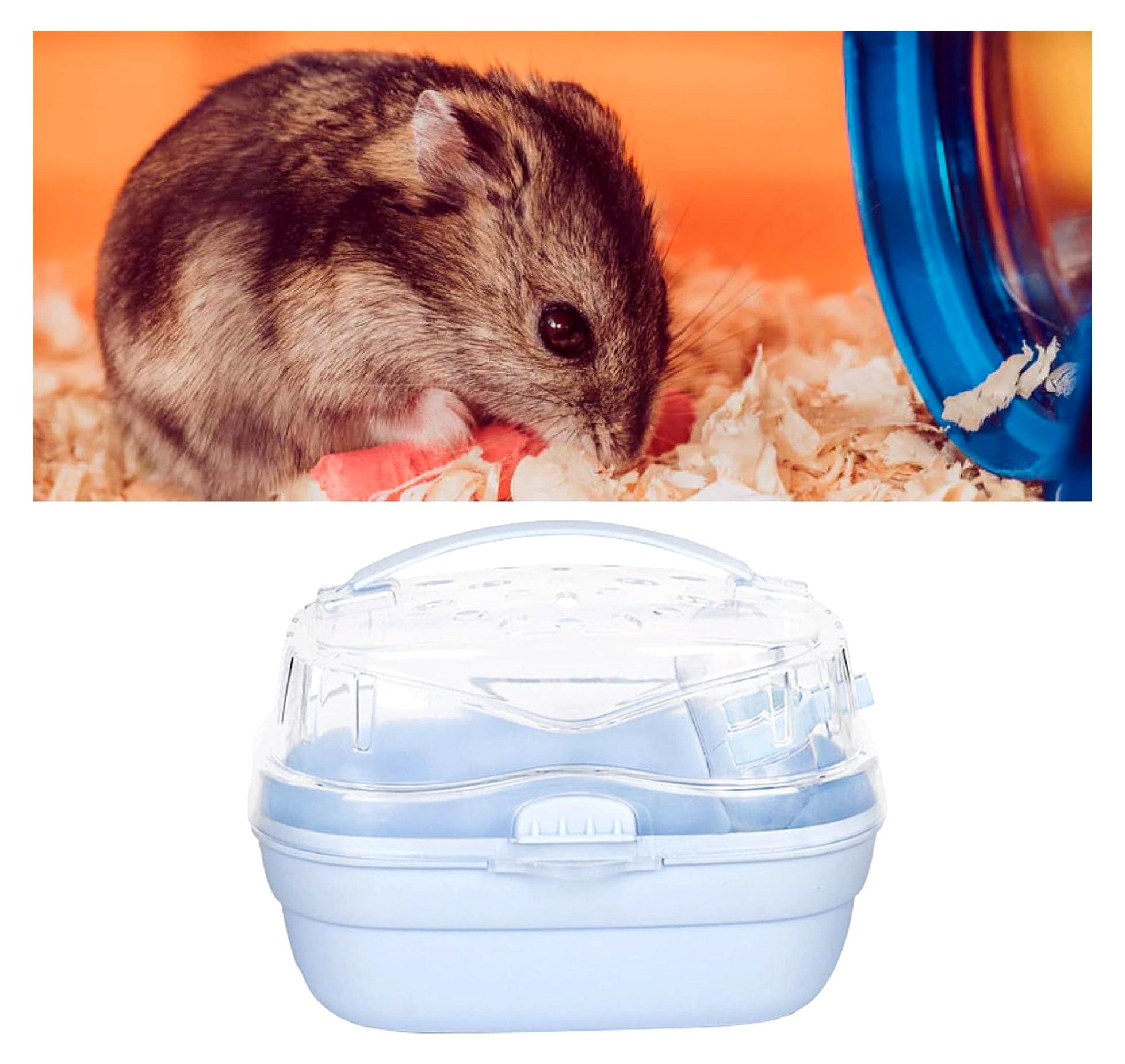 Markenlos Transportbox und Tragekäfig für Hamsterreisen im Freien (Cremeblau)