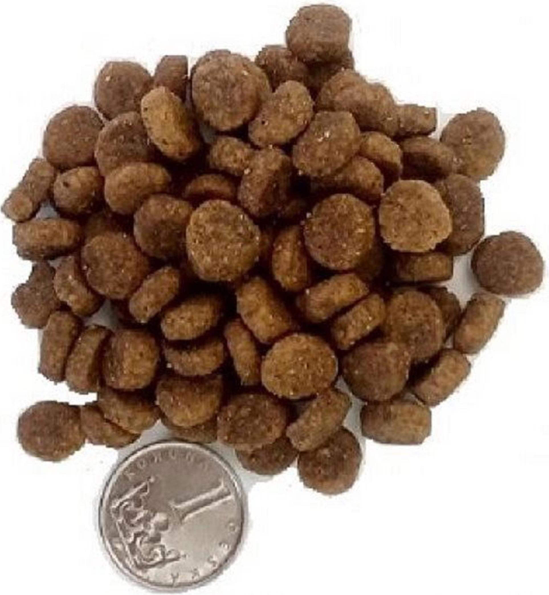 Taste of the Wild Geschmack des wilden Appalachen-Tals 5,6 kg GSHB_action_074198614400