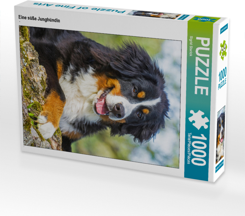CALVENDO Puzzle Eine süße Junghündin | 1000 Teile Lege-Größe 64x48cm Foto-Puzzle für glückliche Stunden