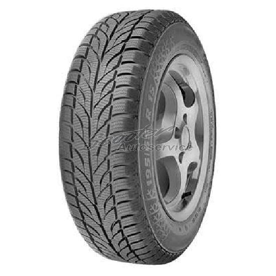 Paxaro Winter ( 225/45 R18 95V XL )