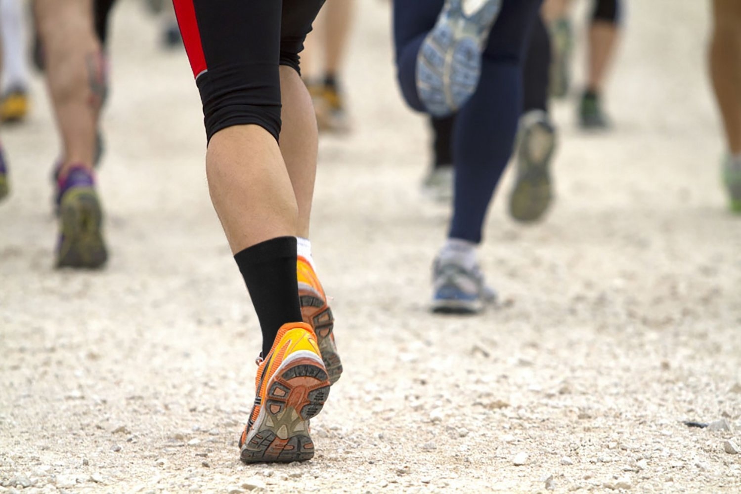 Cocosity Knöchelbandage, professionelle elastische Knöchelbandage, Fußschutz, Kompressionsstütze, Knöchelbandage