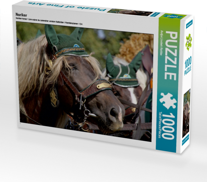 Calvendo Noriker 1000 Teile Puzzle quer 640x480mm, Lindert-Rottke Antje; 7402494