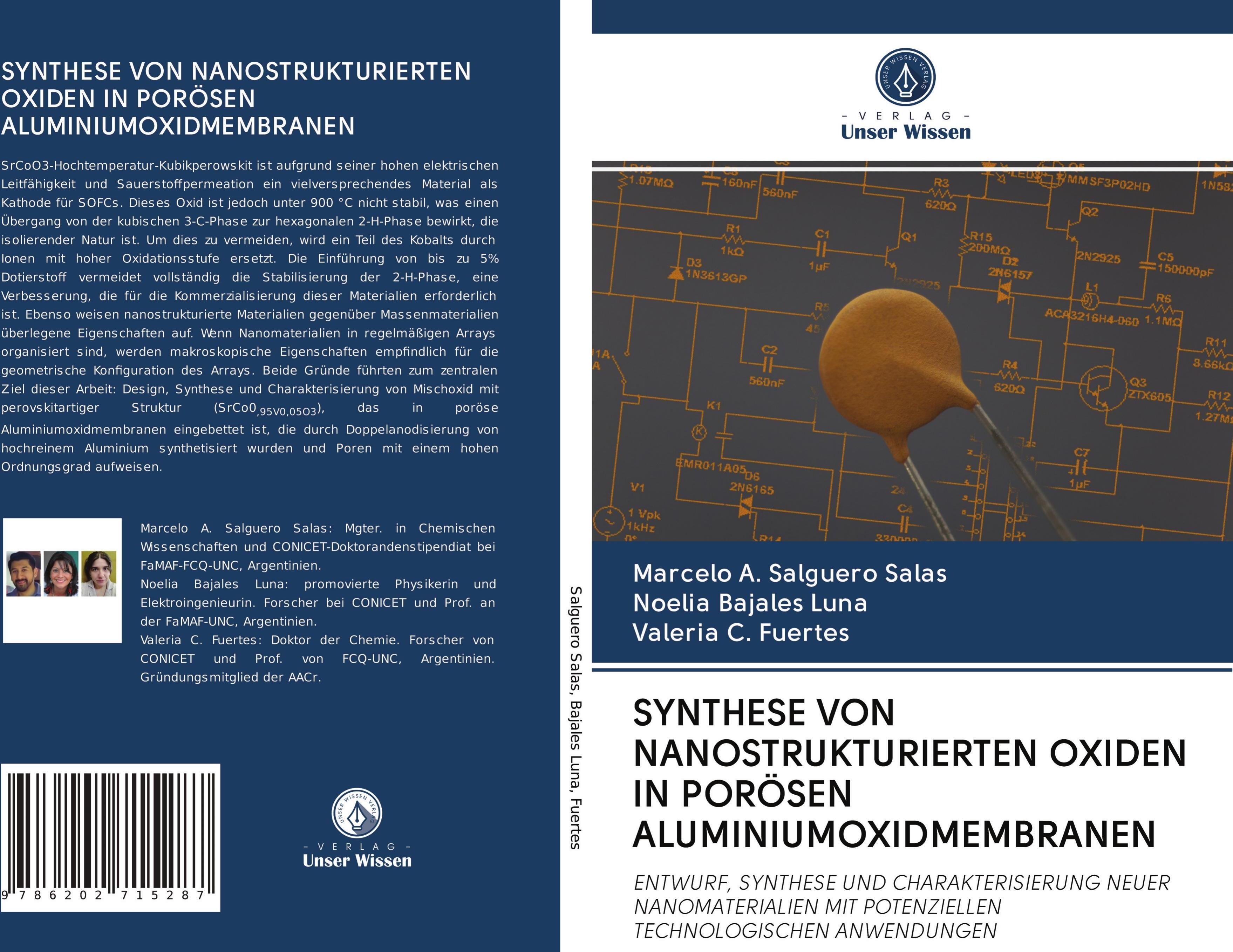 Sonstige Verlage Synthese Von Nanostrukturierten Oxiden In Porösen Aluminiumoxidmembranen