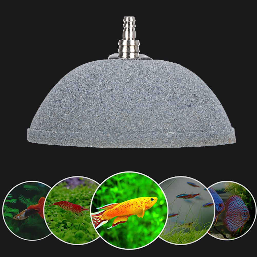 Cocosity Blase Stein,Luftblase Stein,Blase Stein Belüfter,Aquarium Blase Stein,Fisch Tank Blase Stein