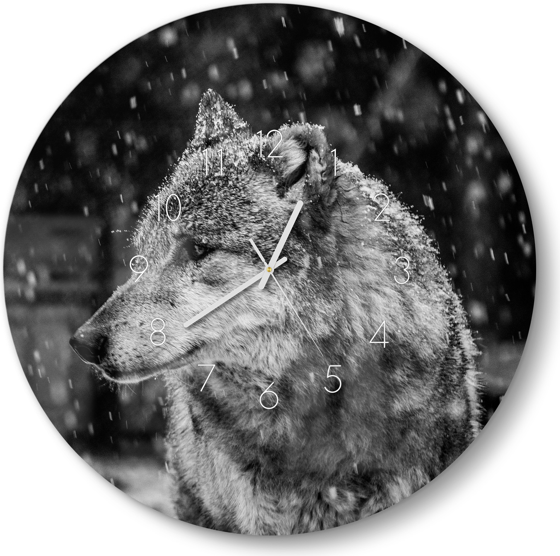 DEQORI Glasuhr Ø50 cm Zahlen 'Winterwächter' Wanduhr Glas Uhr Design leise Küchenuhr WC-D50-N-3001