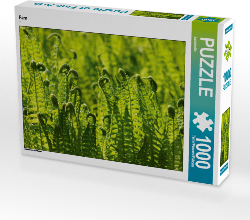 Calvendo Farn 1000 Teile Puzzle quer 640x480mm, CALVENDO; 7304411