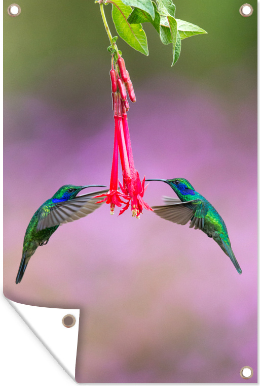 MuchoWow® 133|1314229