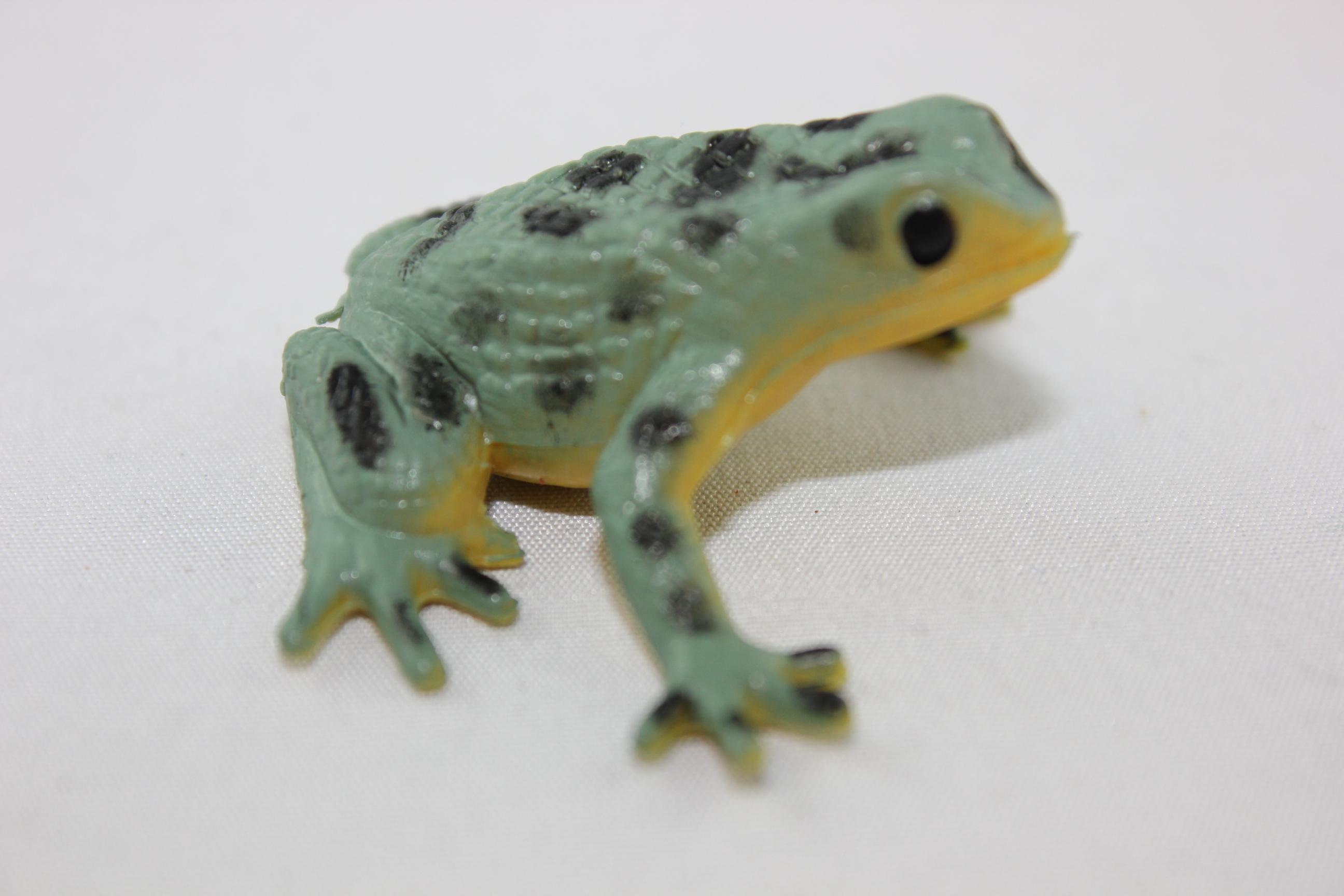 Cornelissen naTierliche Geschenke GmbH & Co. KG Cornelissen - 821089 - Pfeilgiftfrosch, Frosch, grün, 4cm, PVC