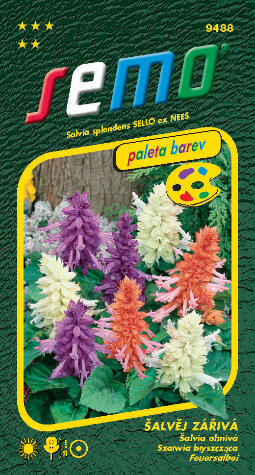 Semo Sage vibrant - Mischung 30er Jahre - Farbpaletten-Serie