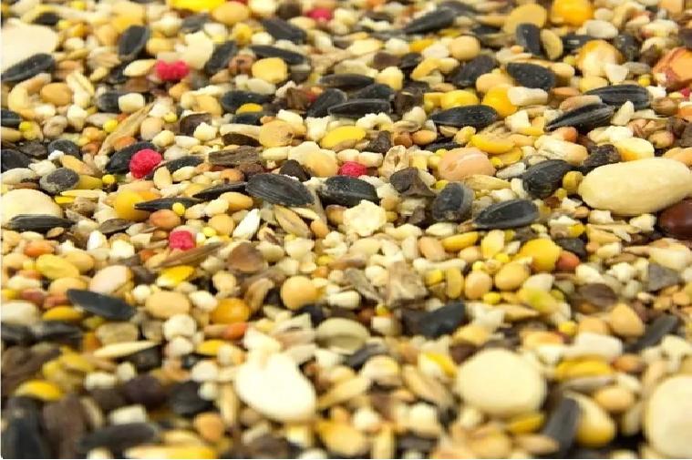 Sonstige Vogelfutter Sonnenblum fur Vogelfutterhaus für überwinternde Vögel Neu 19kg