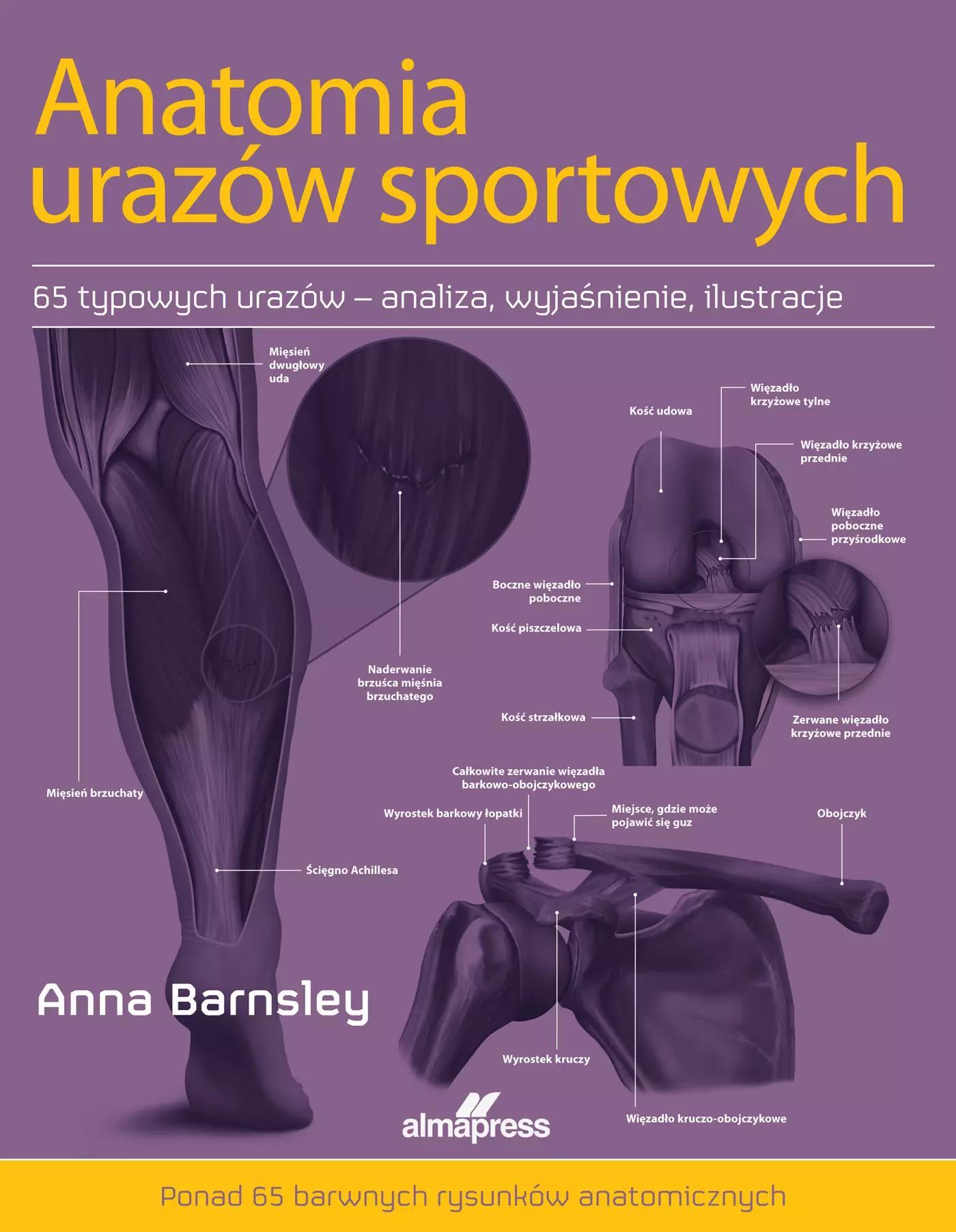Alma-Press Anatomie von Sportverletzungen
