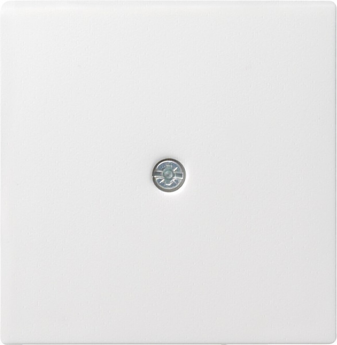 Gira Zentraleinsatz rws-gl f.Schnurableitung 027403