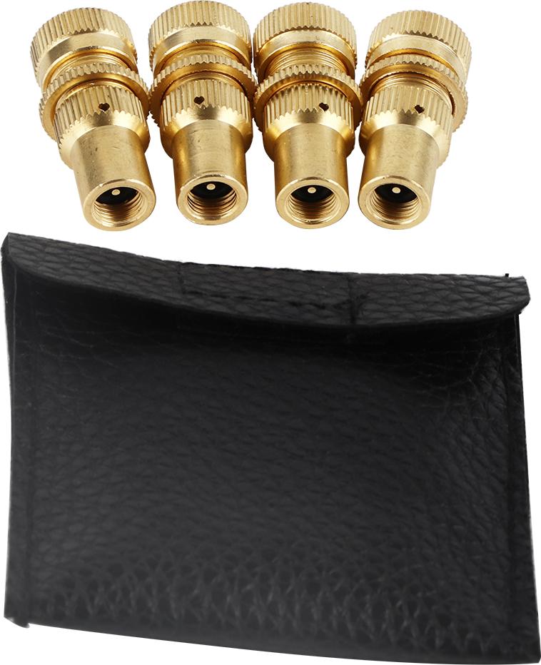 Gistuch 4PCS Auto Car Alloy Tire Druckentlastungsventil Deflatoren Blutungen Set Universal Accessoire