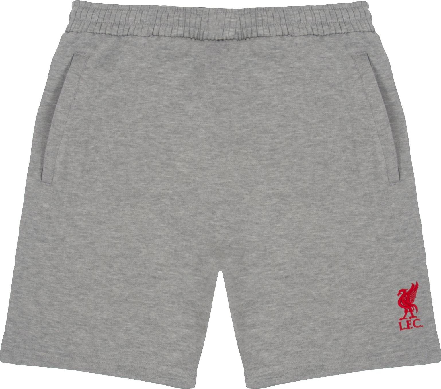 FC Liverpool Liverpool FC - Shorts für Herren GF513 (3XL) (Grau) UTGF513