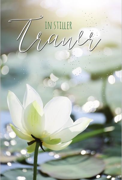 Skorpion A - Trauer Beileid Kondolenz - Trauerkarte im Format 11,5 x 17 cm 81sk3491