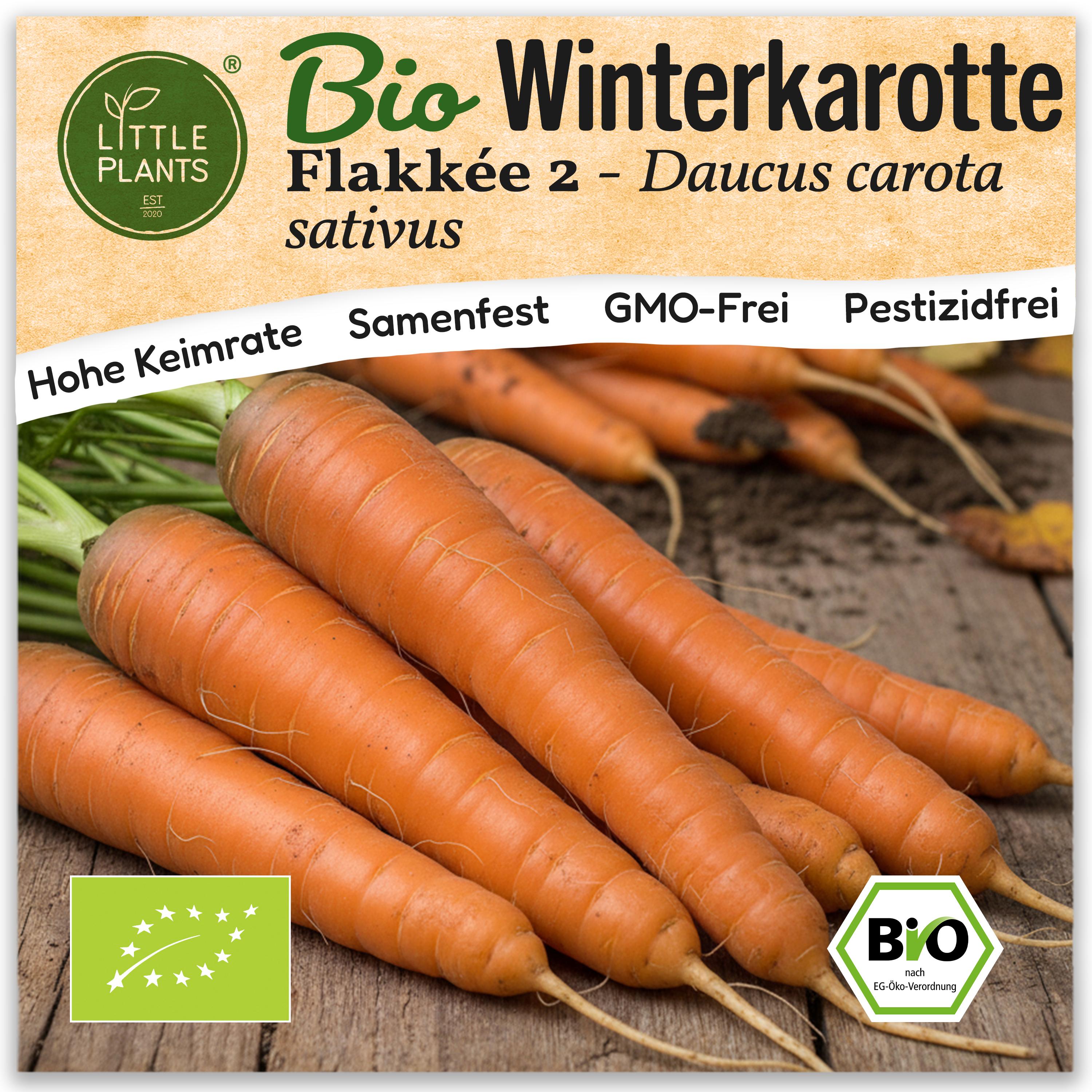 LittlePlants Karotte Samen (BIO) – 500 Samen Gemüsesamen Karottensamen Flakkee 2