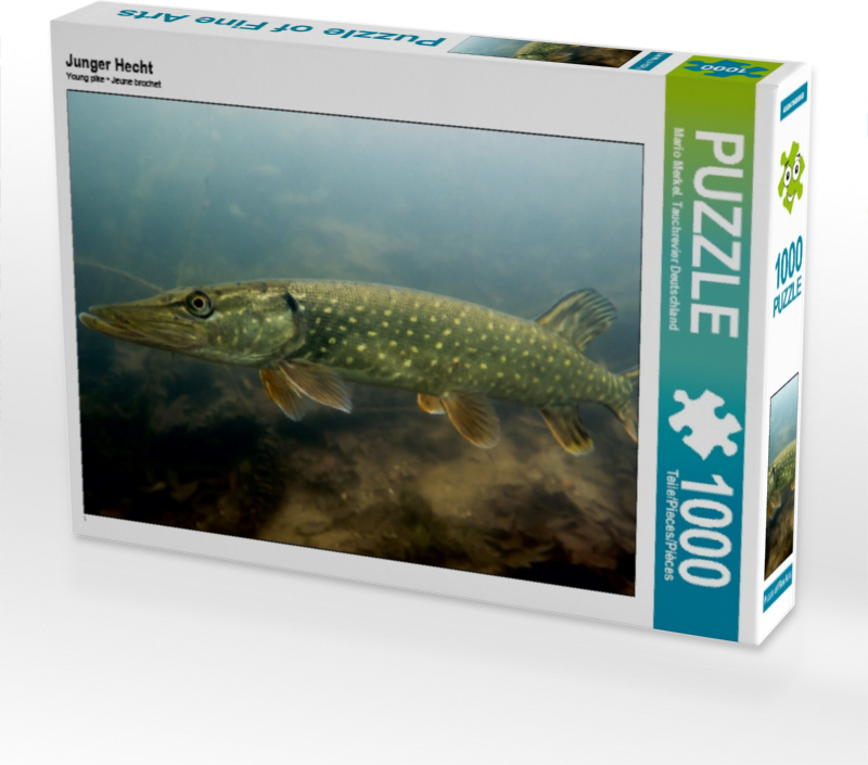 Calvendo Junger Hecht 1000 Teile Puzzle quer 640x480mm, Merkel. Tauchrevier Deutschlan; 7432938