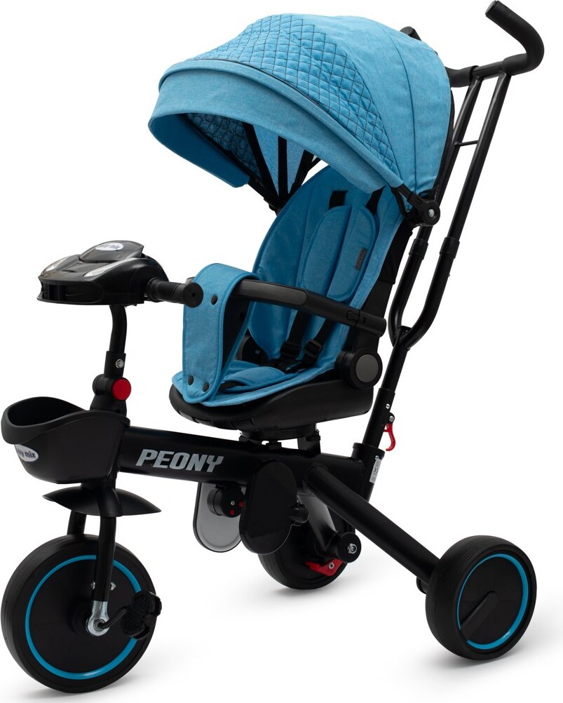 Baby Mix Pfingstrose EVA Dreirad blau