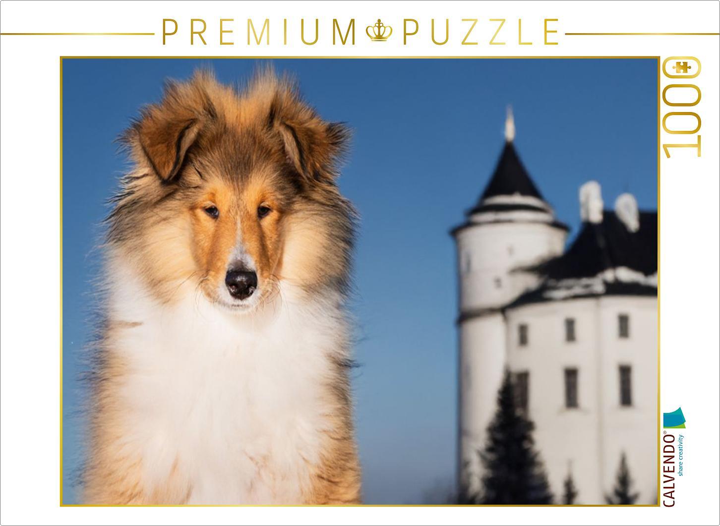 CALVENDO Puzzle Collie Junghund | 1000 Teile Lege-Größe 64x48cm Foto-Puzzle für glückliche Stunden