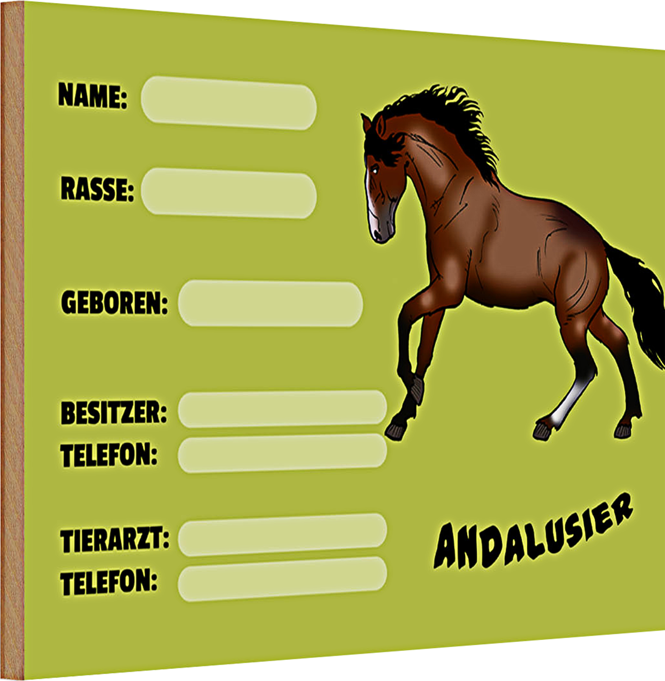 Roomando Holzschild Spruch Steckbrief Andalusier 30x20cm Name Besitzer Rasse