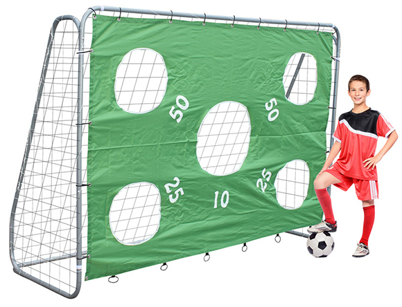 DFB Fußballtor mit herausnehmbarer Torwand 213 x 152 cm 