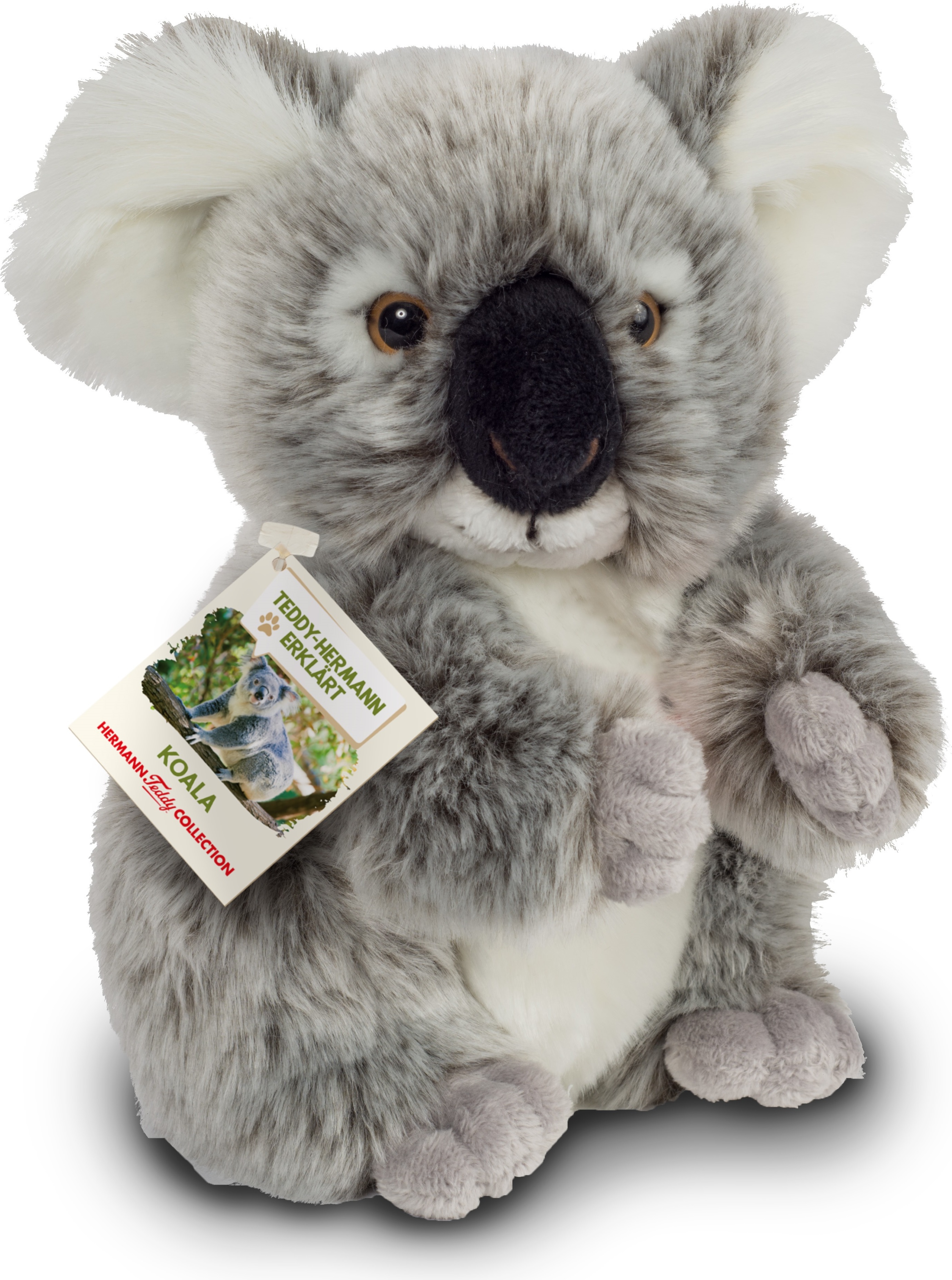 Teddy-Hermann Teddy Hermann koala, 21 cm 914242 Peluches