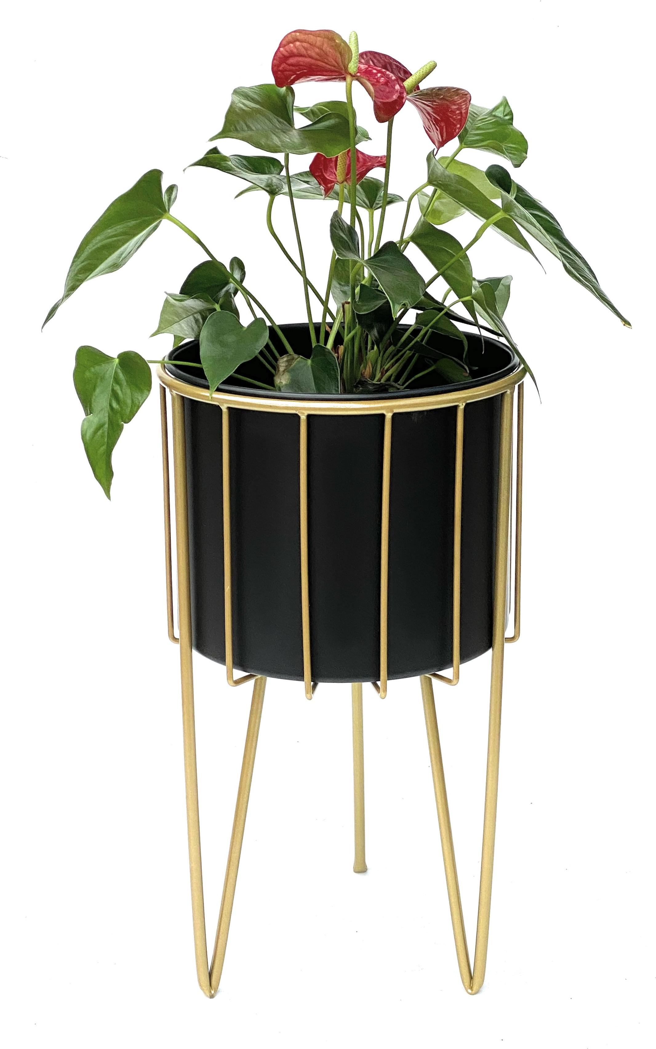 DanDiBo Sgabello Per Piante Con Vaso Incluso - Sostegno Per Fiori In Metallo, Altezza 75 Cm, Struttura Nera E Vaso Bianco Vintage