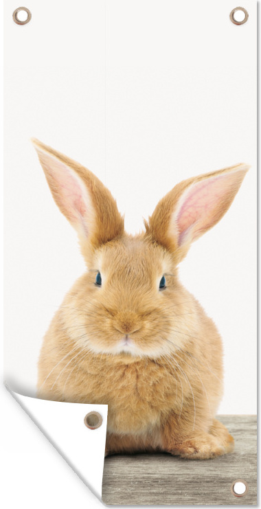 MuchoWow® 30x60 cm Outdoor-Poster Gartendeko Sichtschutz Garten Poster für den Garten Kaninchen - Babykaninchen - Tiere - Kinder - Mädchen - Jungen 133|322461704