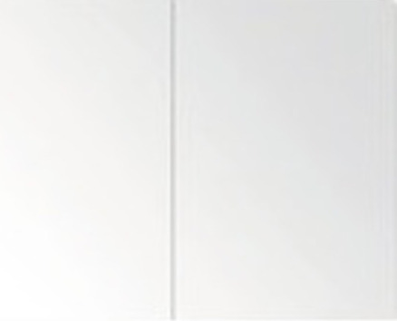 Spiegelschrank Sanox 100 x 13 x 65 cm schwarzeiche 2-türig 84401049