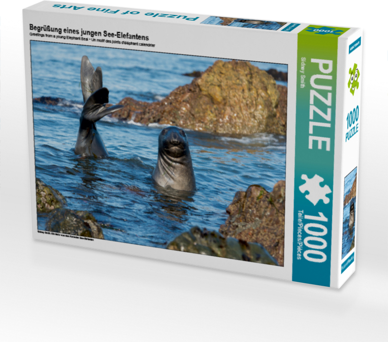 CALVENDO Puzzle Begrüßung eines jungen See-Elefantens | 1000 Teile Lege-Größe 64x48cm Foto-Puzzle für glückliche Stunden