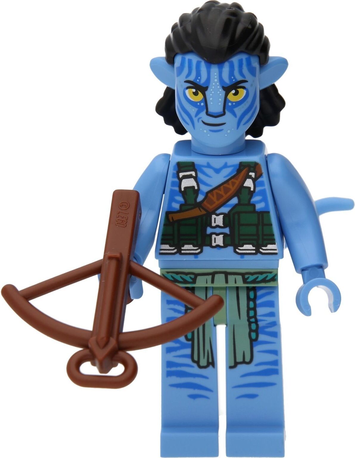 LEGO Avatar: Jake Sully