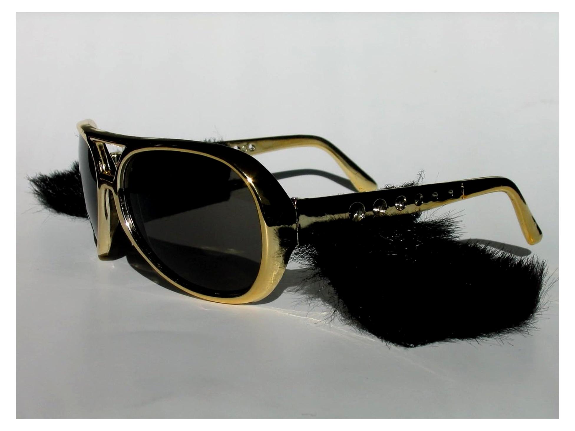 Markenlos Generique - Sonnenbrille mit Koteletten - Rock n Roll