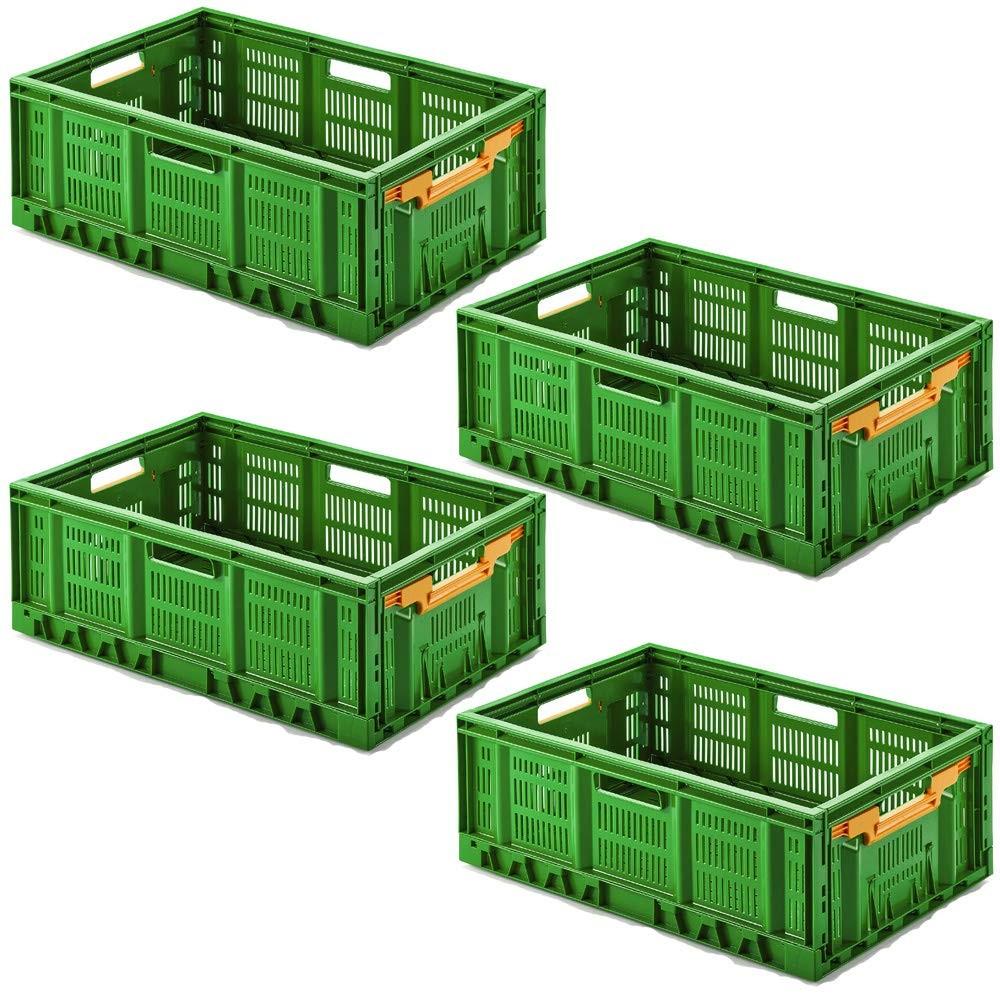 Merkloos Faltbare Gemüsebox, 600 x 400 x 233 mm