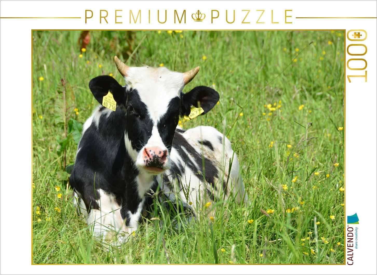 CALVENDO Puzzle Nachwuchs in der Rinderherde | 1000 Teile Lege-Größe 64x48cm Foto-Puzzle für glückliche Stunden