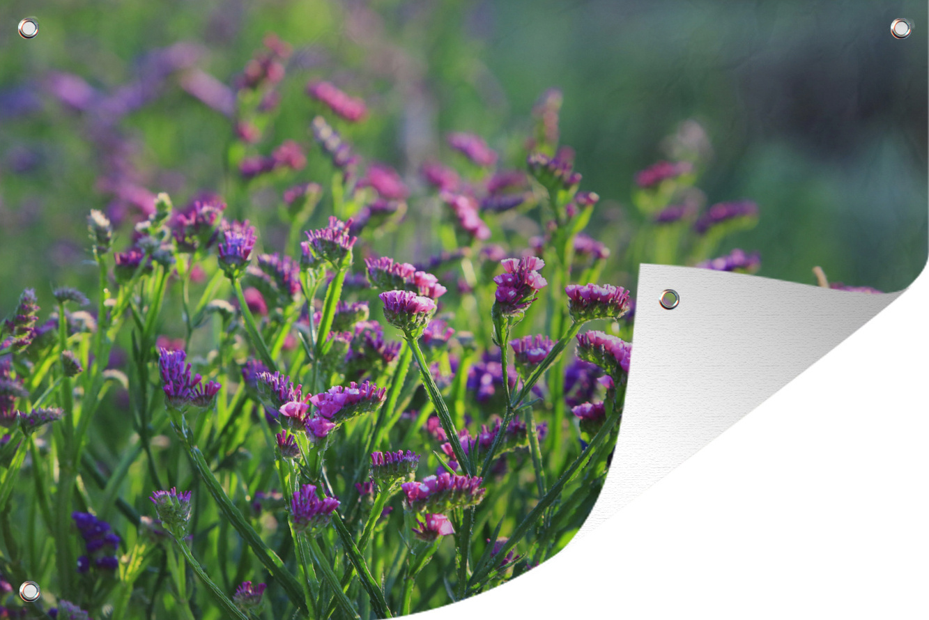 MuchoWow® 90x60 cm Outdoor-Poster Gartendeko Sichtschutz Garten Poster für den Garten Lila Limonium-Pflanzen im hohen Gras 133|1298011