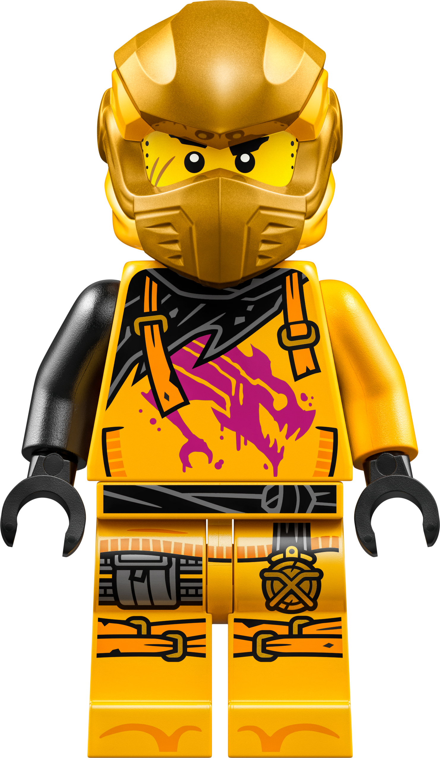 LEGO Ninjago: Arin