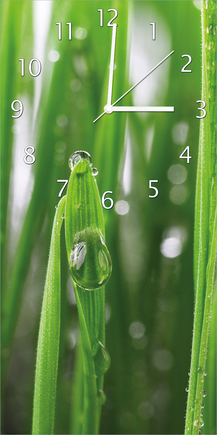Wallario Design Wanduhr Wassertropfen an Grashalmen aus Echtglas, Größe 30 x 60 cm guk0702-3060