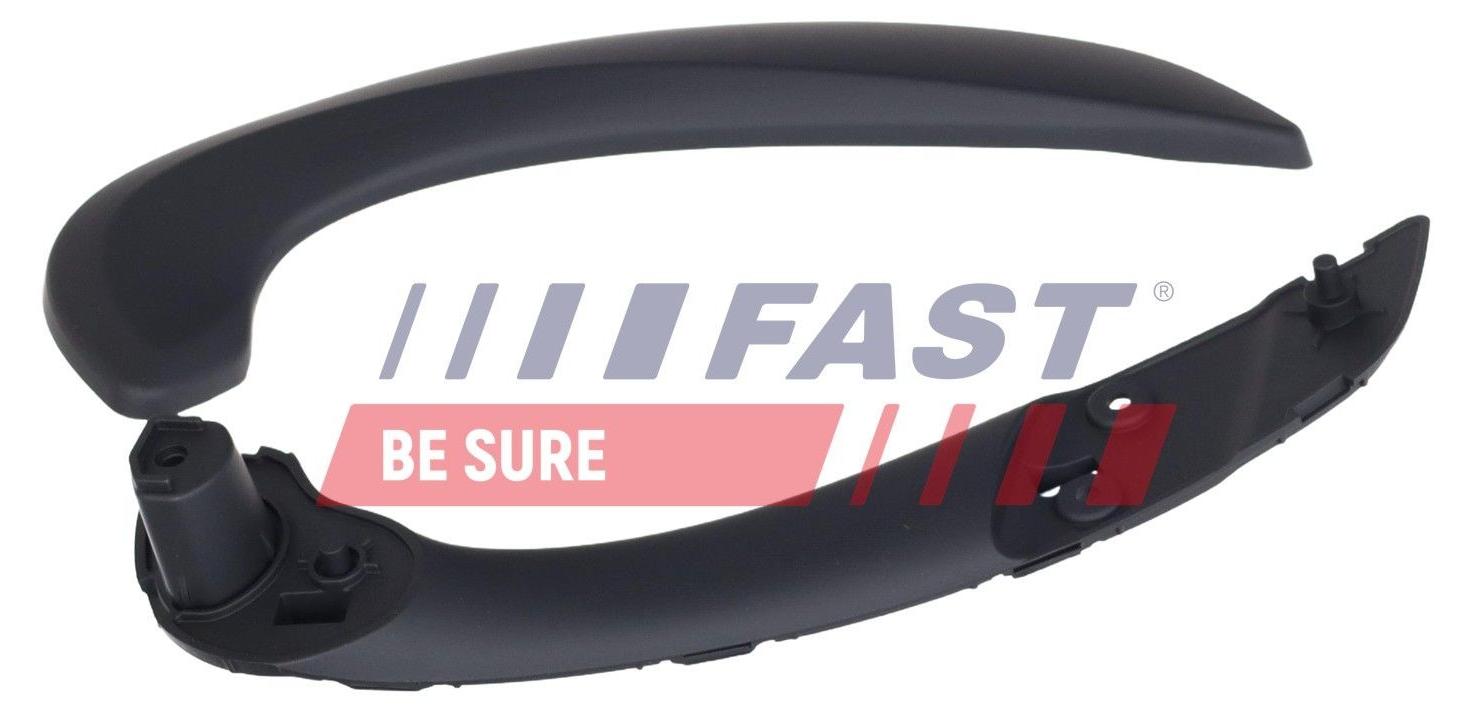 FAST Türgriff innen innen links für RENAULT MEGANE II Coupé-Cabriolet (EM0/1) MEGANE II Kombi (KM0/1) MEGANE II (BM0/1, CM0/1) MEGANE I (BA0/1) FT12350